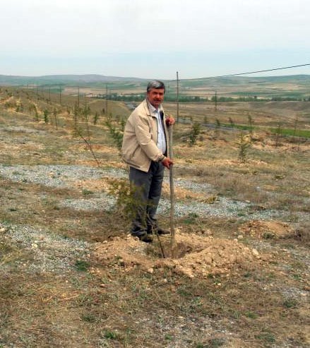 Sarıkayalı Hayırsever İşadamı Bin 200 Adet Çam Fidanı Dağıttı