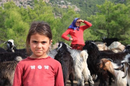 Sarıkeçili Yörükler sahile indi