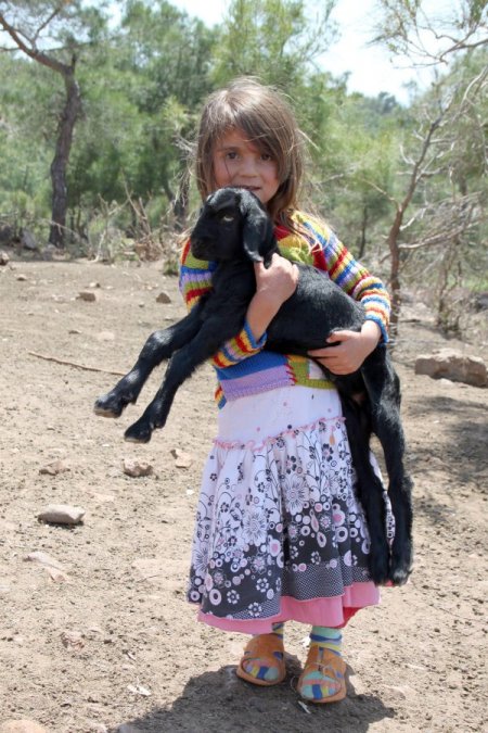 Sarıkeçili Yörüklerin Yayla Göçü Başladı