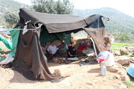 Sarıkeçili Yörüklerin Yayla Göçü Başladı