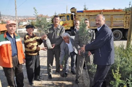 Sarıtoprak Mezarlığı'nda Vatandaşa 2 Bin Fidan Dağıtıldı
