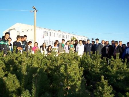 Şarkışla Aşık Veysel Meslek Yüksek Okulu Ağaçlandı