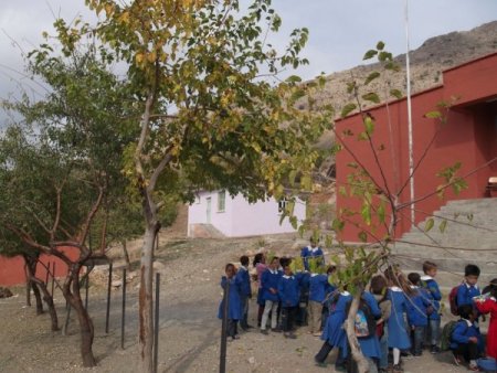 Sason Kaymakamlığı ‘Çadır okul’ haberini yalanladı