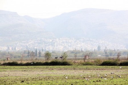 Savaş uçakları Atme ve Selva köylerini bombaladı