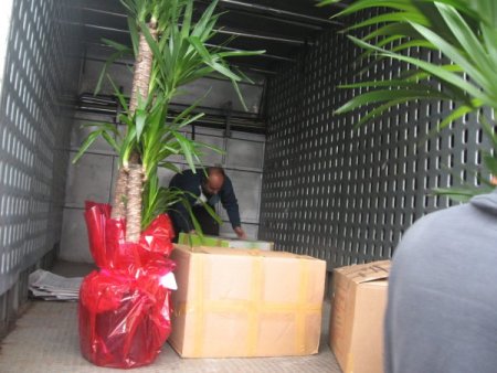 Savcılardan Önce Eşyaları Adliyeye Geldi