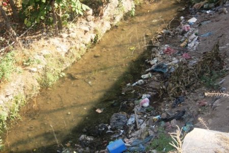 Savur'da 99 kişide sıtma tespit edildi