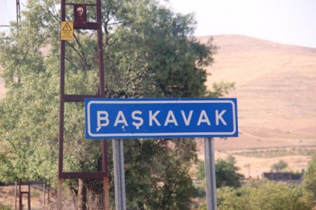 Savur'da 99 kişide sıtma tespit edildi