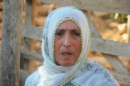 Savur'da 99 kişide sıtma tespit edildi