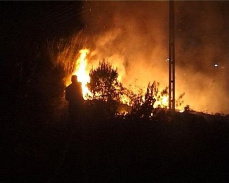 Sazlık Alanda Başlayan Yangın Zeytin Bahçesine Sıçradı