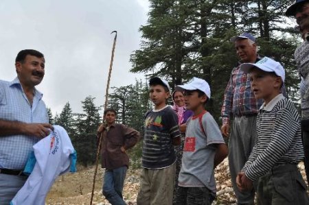 Sedir Kozalakları Toplayan Öğrenciler Okul Masraflarını Karşılıyor