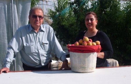 Şeftalide ilk hasat gerçekleşti