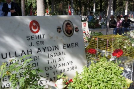 Şehit annesi mezarlığa oğlunun kuşuyla geldi