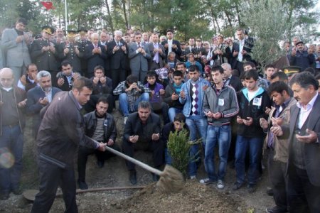 Şehit Annesinin Feryadı: Oğlumu Kaşından Vurmuşlar