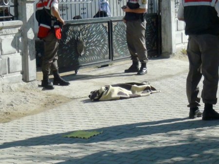 Şehit babası bu sefer torun acısı yaşadı
