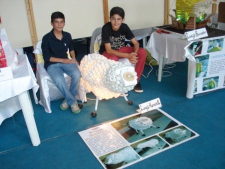 Şehit Fethibey, Proje Ve Tasarım Olimpiyatında Birinci Oldu