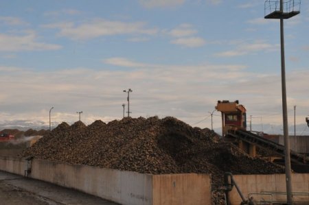 Şeker alımlarını tamamlayan Çorum Şeker üretime başladı (Özel)