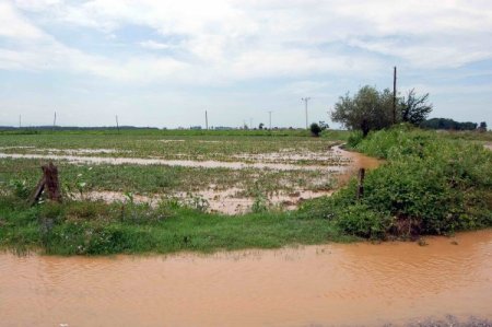 Sel, Bafra Ovası’nı Da Vurdu, Ekili Sebze Alanlarındaki Zarar Giderek Büyüyor