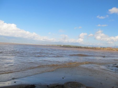 Sel Ege Denizi'ni kahverengiye boyadı