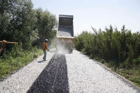 Selçuk'ta Asfalt Çalışmaları Devam Ediyor
