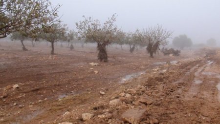 Selde hayatını kaybeden iki bayan toprağa verildi