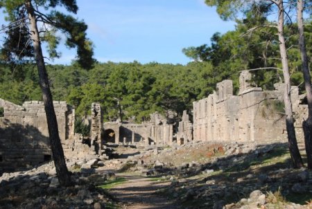 Seleukeia Antik Kenti'nde tarihi eserlere zarar veren çamlar budanacak