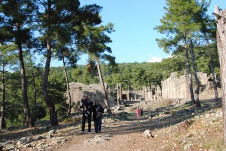 Seleukeia Antik Kenti'nde tarihi eserlere zarar veren çamlar budanacak