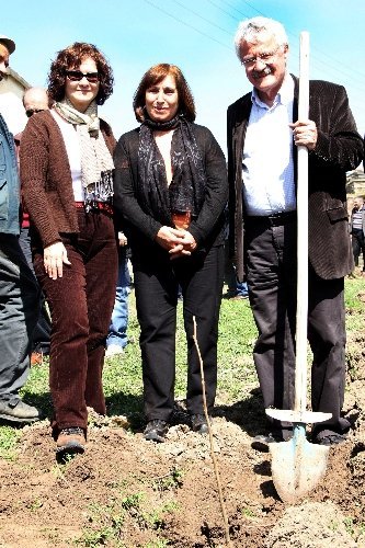 Selvi Kılıçdaroğlu, selvi fidanı dikti