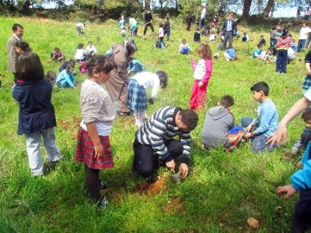 Sema Koleji öğretmen ve öğrencileri fidan dikti