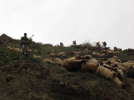 Şemdinli’de kaçakçılık operasyonu