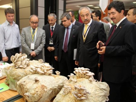 Şentürk: Mantarda Türkiye’nin en büyük rakibi Çin