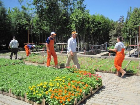 'Serada Yeşeren Umutlar' projesi ödüllendirildi