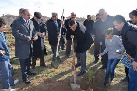 Şereflikoçhisar'da bu yıl 50 bin fidan toprakla buluştu