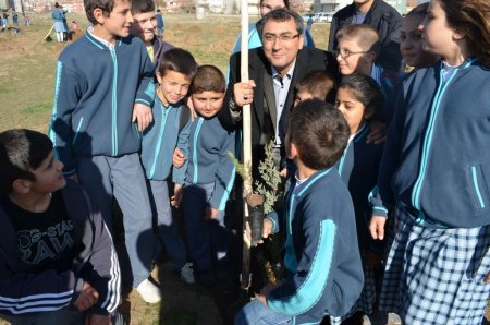 Şereflikoçhisar'da bu yıl 50 bin fidan toprakla buluştu