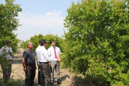 Serikli Üretici 2011'de 10 Milyon 343 Bin 855 Tl Hibe Desteği Aldı