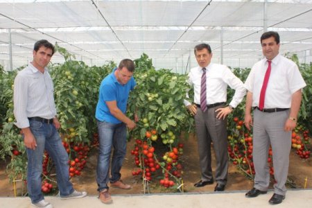 Serikli Üretici 2011'de 10 Milyon 343 Bin 855 Tl Hibe Desteği Aldı