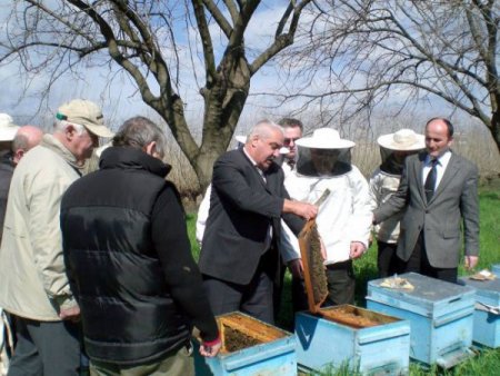 Sertifikalı arıcılık kursları başlıyor