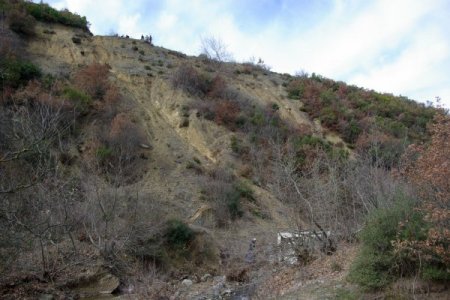 Servis Kazasında Yaralanan Öğrenciler Ve Ailelerine Psikolojik Destek Verilecek