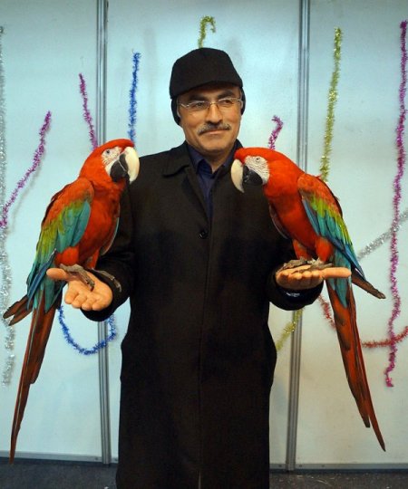 Sevdiğinize yılbaşı hediyesi: Papağanla fotoğraf çektirmek 5 TL
