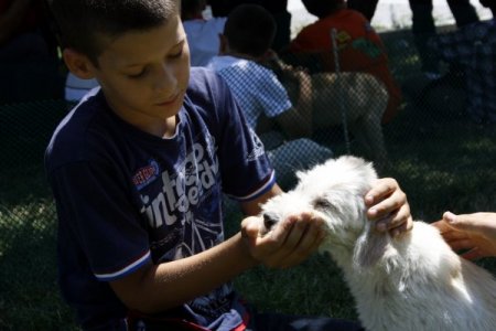 Sevgi Evleri’ndeki Engelli Çocuklar Hayvanlarla Moral Buluyor