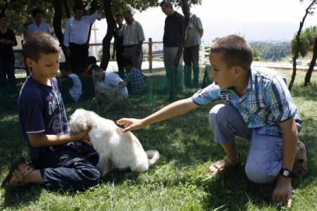 Sevgi Evleri’ndeki Engelli Çocuklar Hayvanlarla Moral Buluyor
