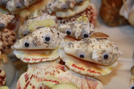 Sevgiler, deniz kabuğu ile sönmeyecek