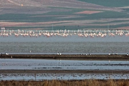 Seyfe Gölü mavi bayrak almaya aday