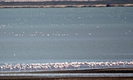 Seyfe Gölü mavi bayrak almaya aday