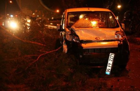 Seyir Halindeki Aracın Üzerine Ağaç Devrildi