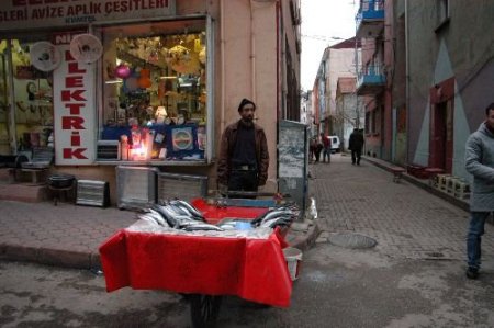 Seyyar Balıkçılar Kocaeli'nin Her Yerinde