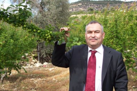 Sezonu 200 Tl’den Açan Eriğin Kilosu 50 Kuruşa Düştü