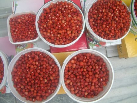 Sezonun İlk Dağ Çileği Kilosu 12 Tl’den Pazara İndi