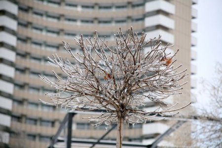 Sibirya Soğukları Romanya'da: 39 Ölü