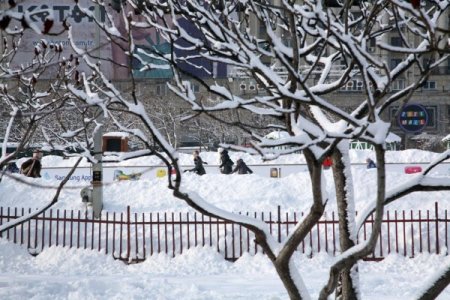 Sibirya Soğukları Romanya'da: 39 Ölü