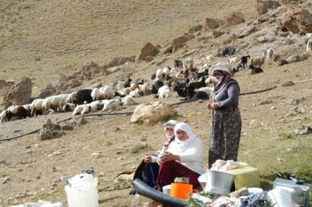 Sıcak Havalardan Bunalan Göçerler Nedirok Yaylalarına Akın Ediyor